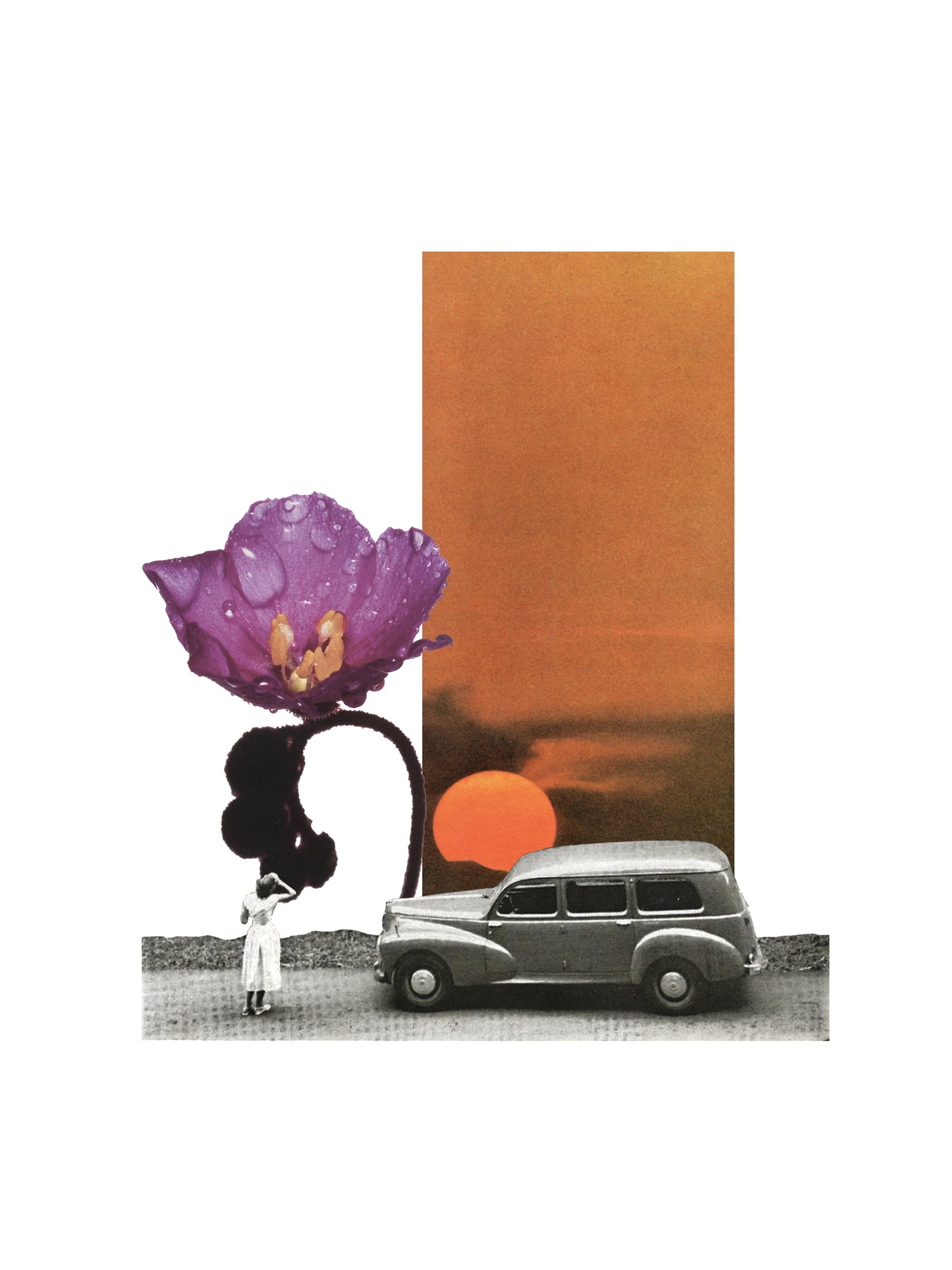 Neurona Collage Studio - COLLAGE PRINT "ALICE SUNDEW"
