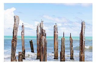 Javier Del Valle - Fotografía "Antiguo muelle de Playa Guayanés"