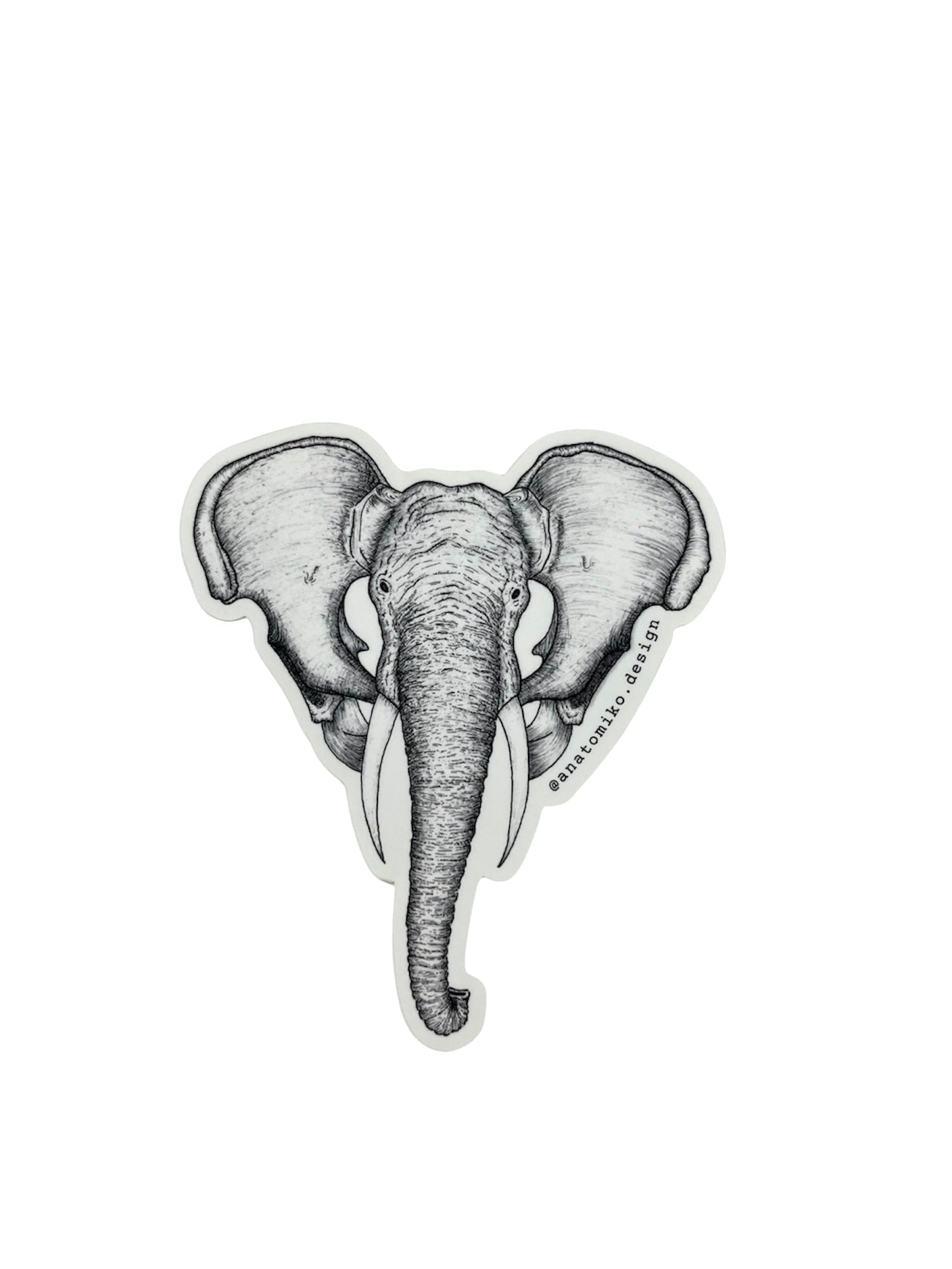 Anatomiko - VARIEDAD DE STICKERS