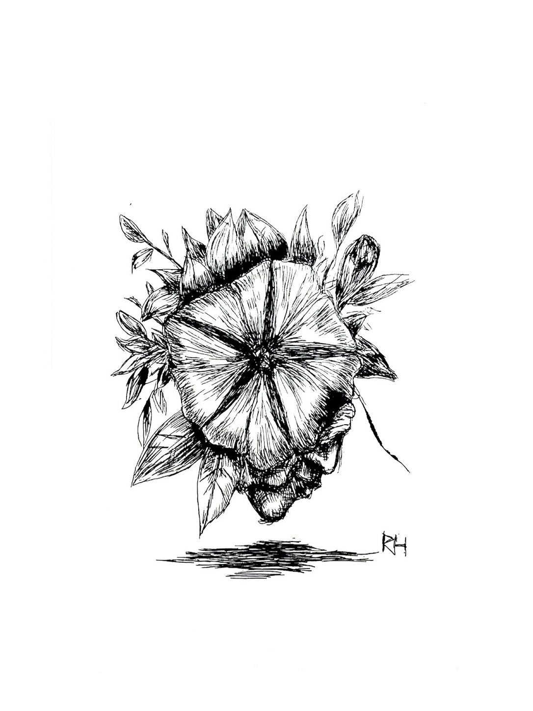 Rafael Hernández - ART PRINT 5 X 7 / VARIEDAD