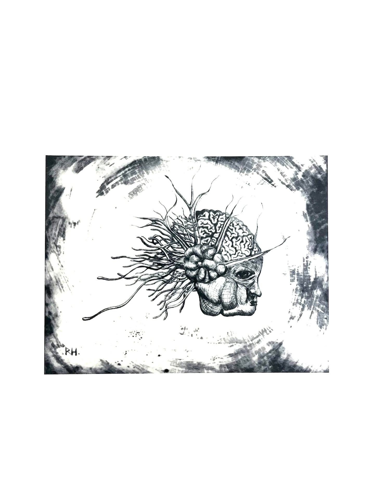 Rafael Hernández - ART PRINT 5 X 7 / VARIEDAD