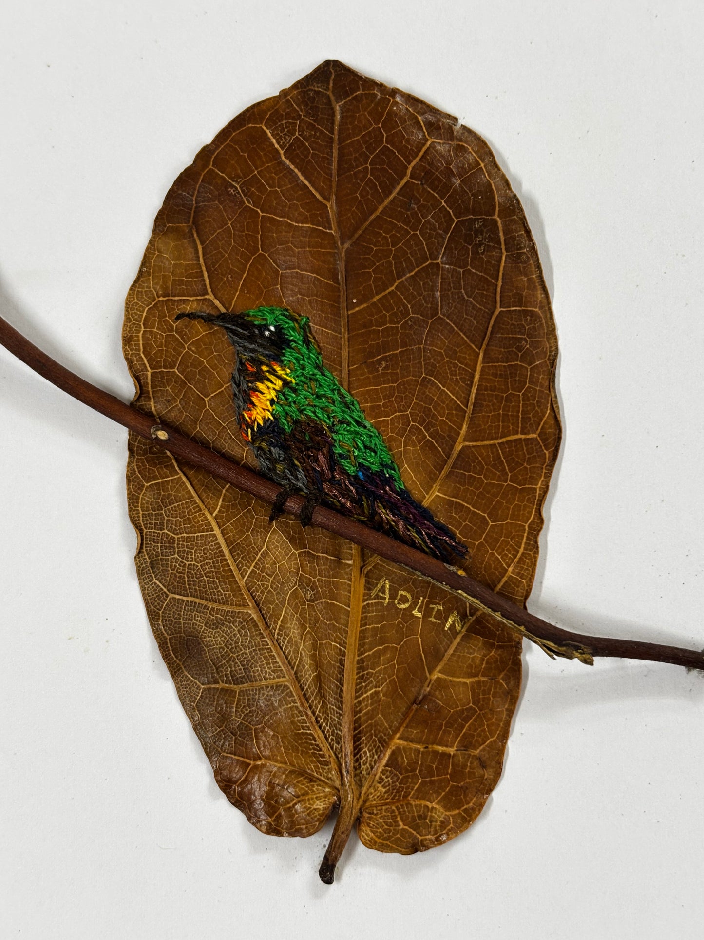 Adlin Dávila Ortiz - OBRA ORIGINAL "COLIBRI Y EL ROBLE"