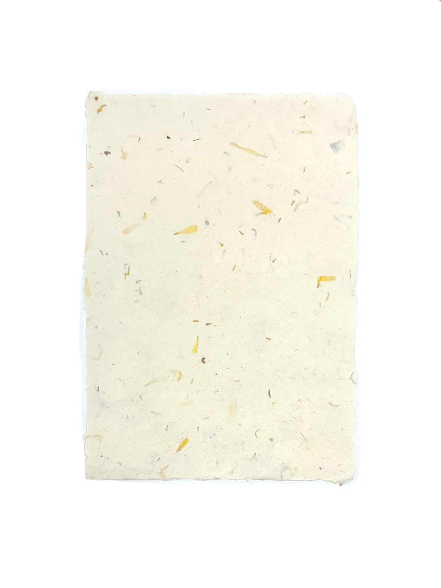 Alexandra Rodríguez - PAPEL RECICLADO CREMA AMARILLO