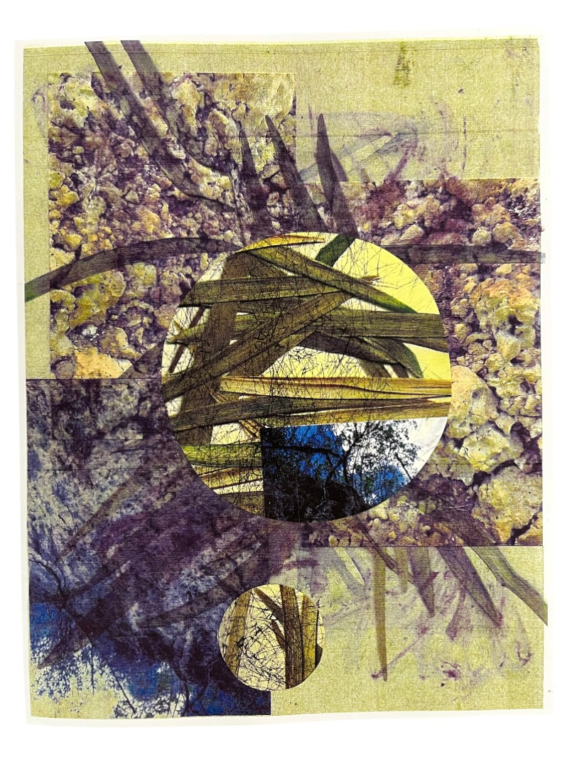 Elizabeth Robles - Obra Orginal / Collage LAMINA #2