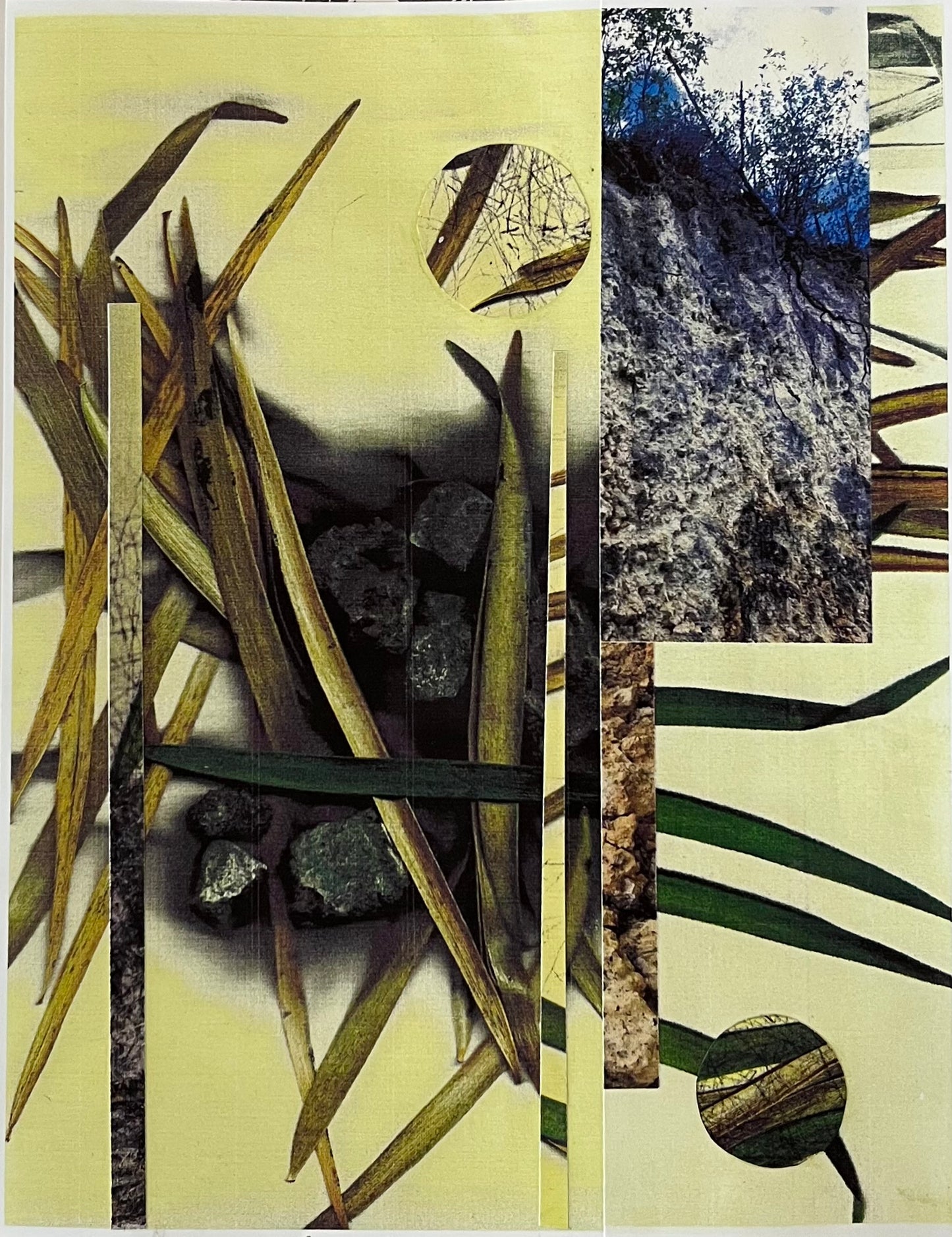 Elizabeth Robles - Obra Orginal / Collage LAMINA #5