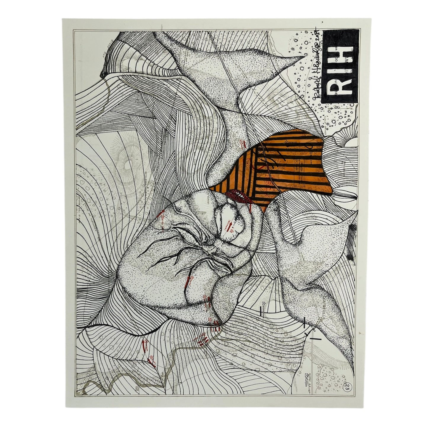 Rafael Hernández - SERIE MAPAS - DIBUJO "FIRST BULL"