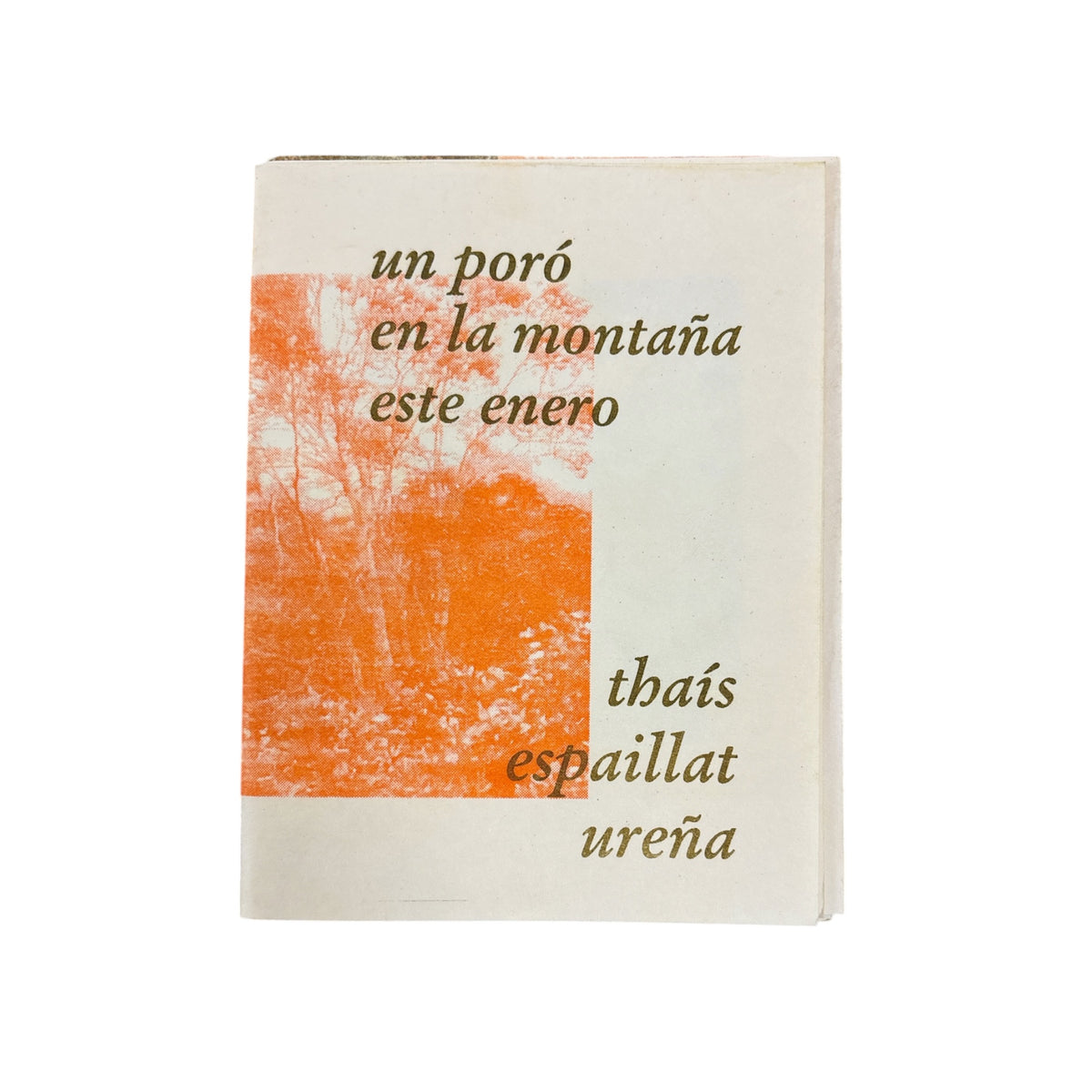 La Impresora - LIBRO / UN PORÓ