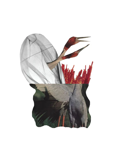Neurona Collage Studio - COLLAGE PRINT "GRULLAS SARUS"