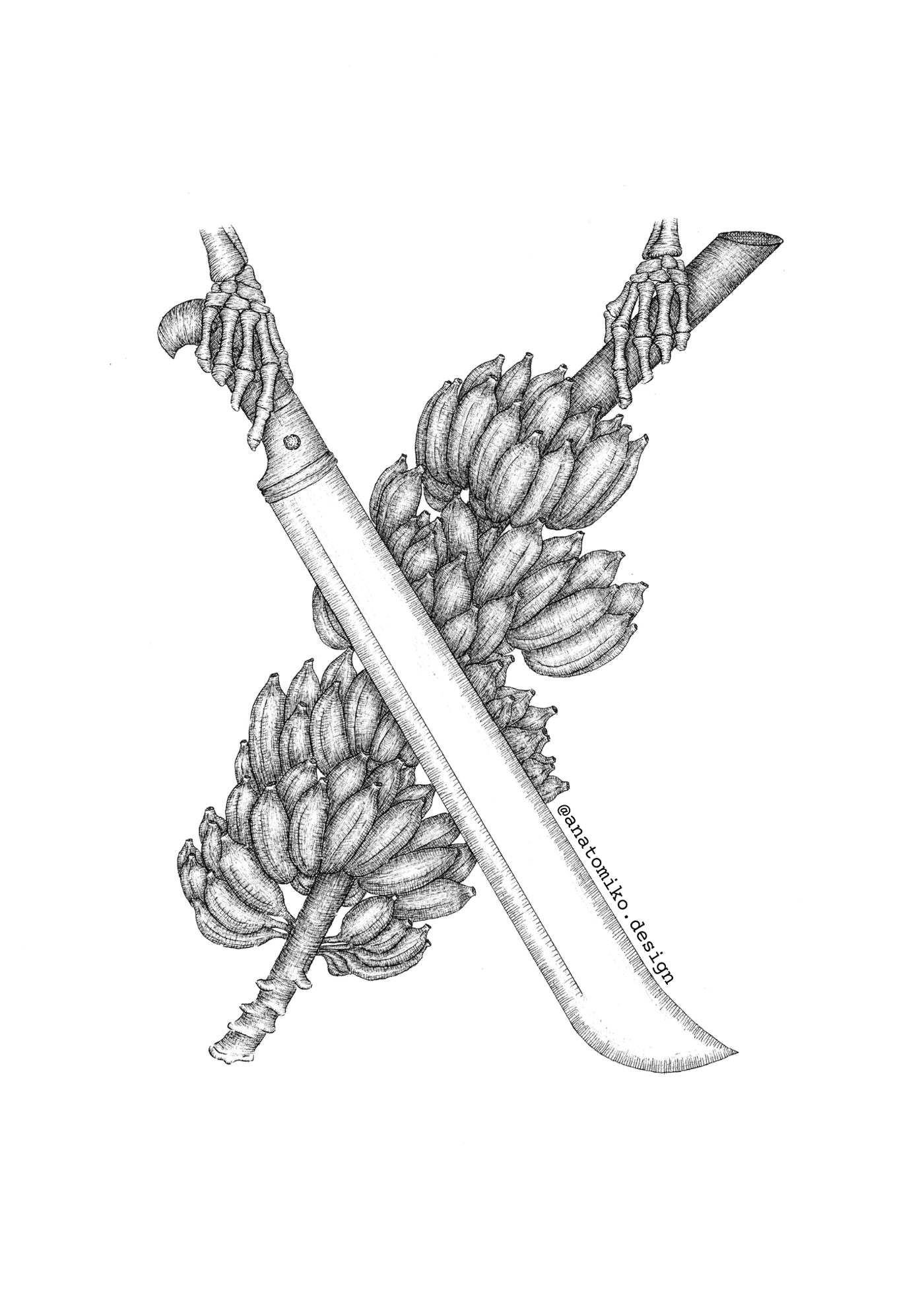 Anatomiko - VARIEDAD DE STICKERS