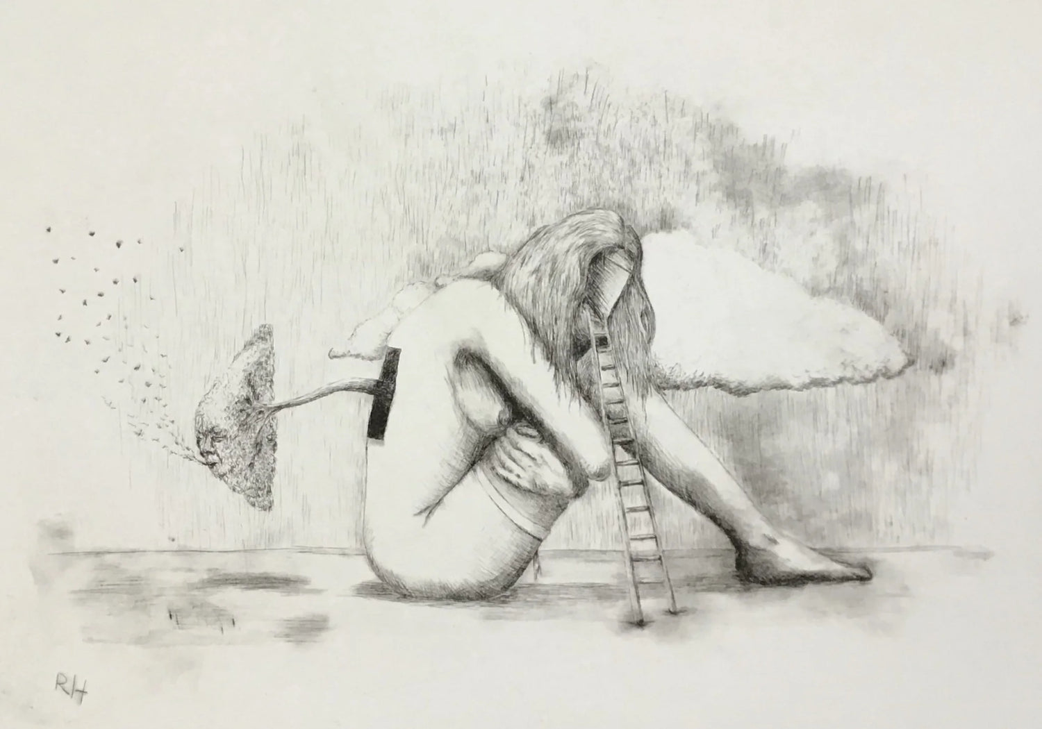Obra Original