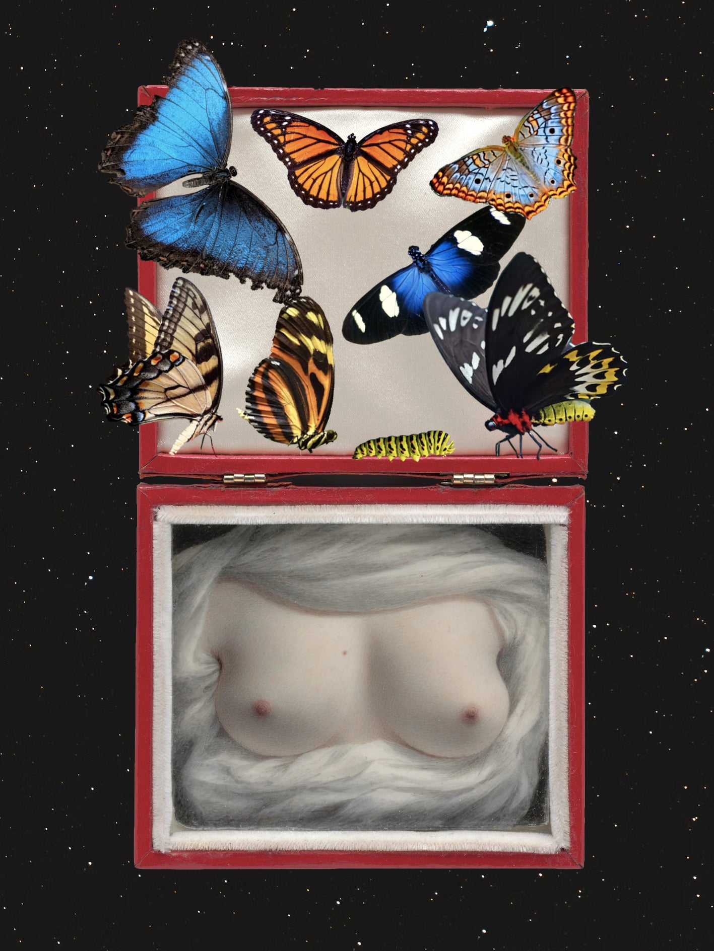 Neurona Collage Studio - COLLAGE PRINT "MARIPOSARIO"