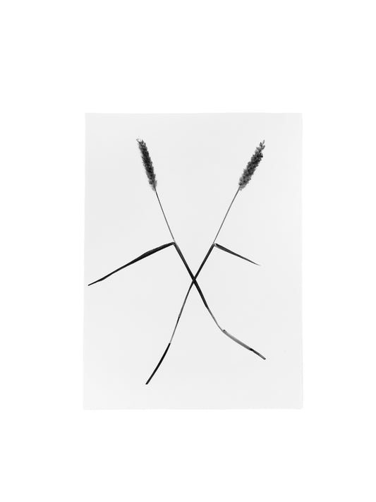 Gladys Serrano Flores / FOTOGRAFÍA "ONE OF A KIND"