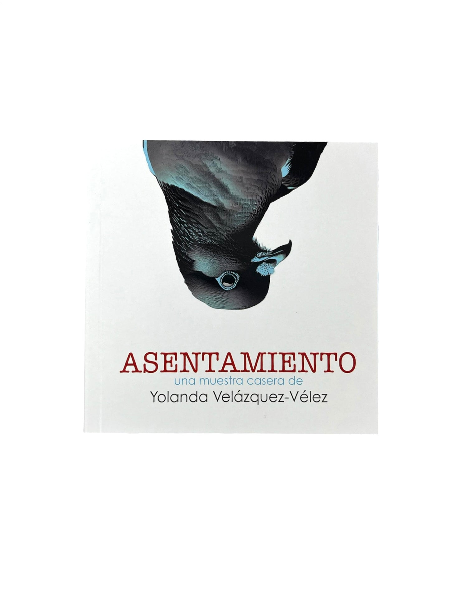 YOLANDA VELÁZQUEZ - Libro "Asentamiento"