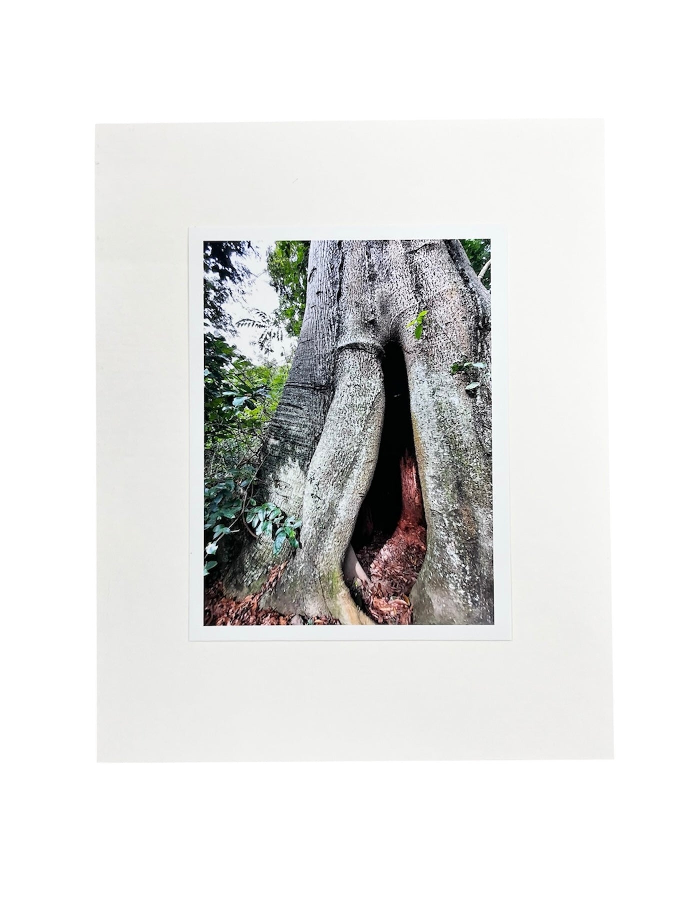 Gladys Serrano Flores / FOTOGRAFÍA "ADENTRA"