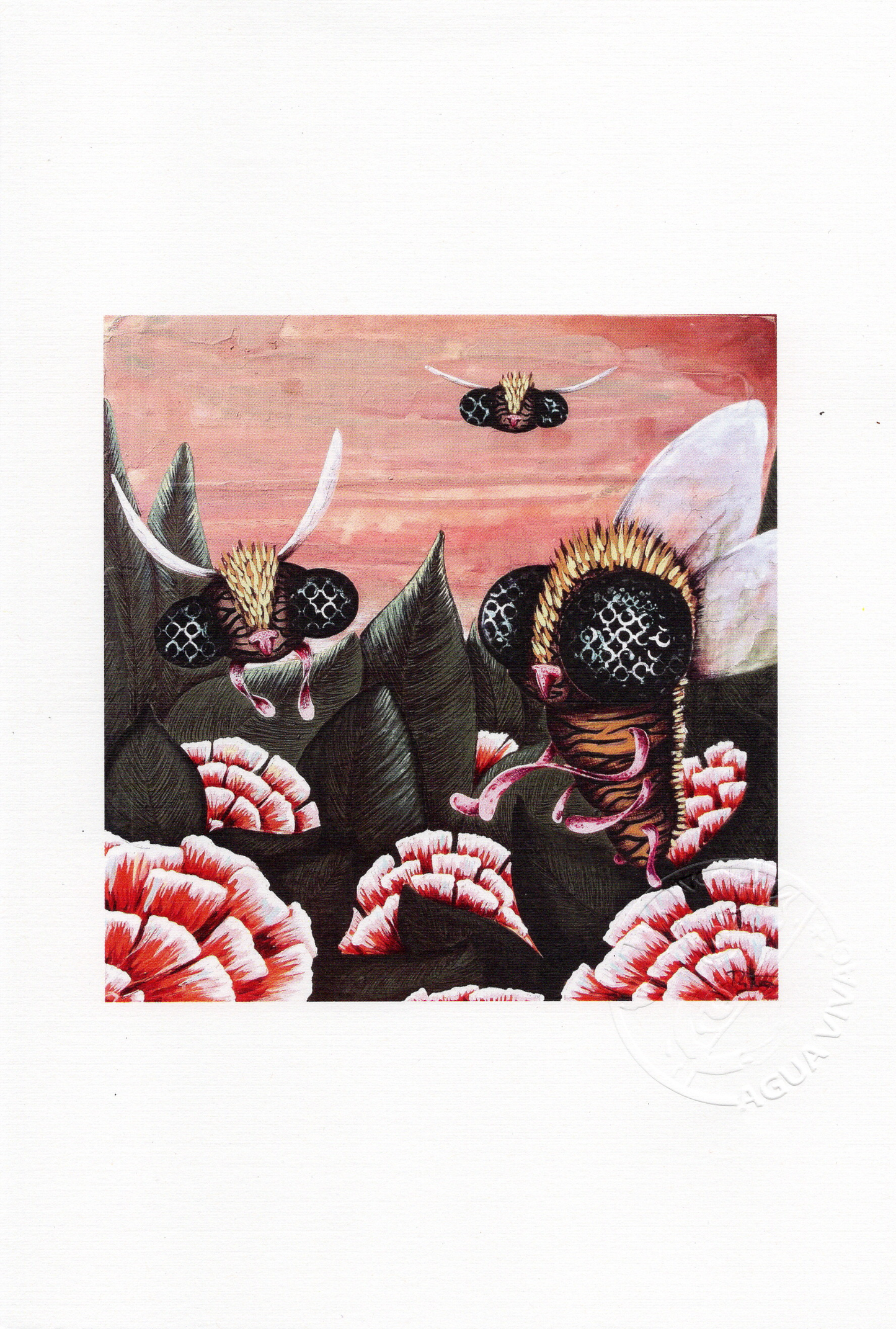 Agua Viva - ART PRINT 9"X6" / VARIEDAD