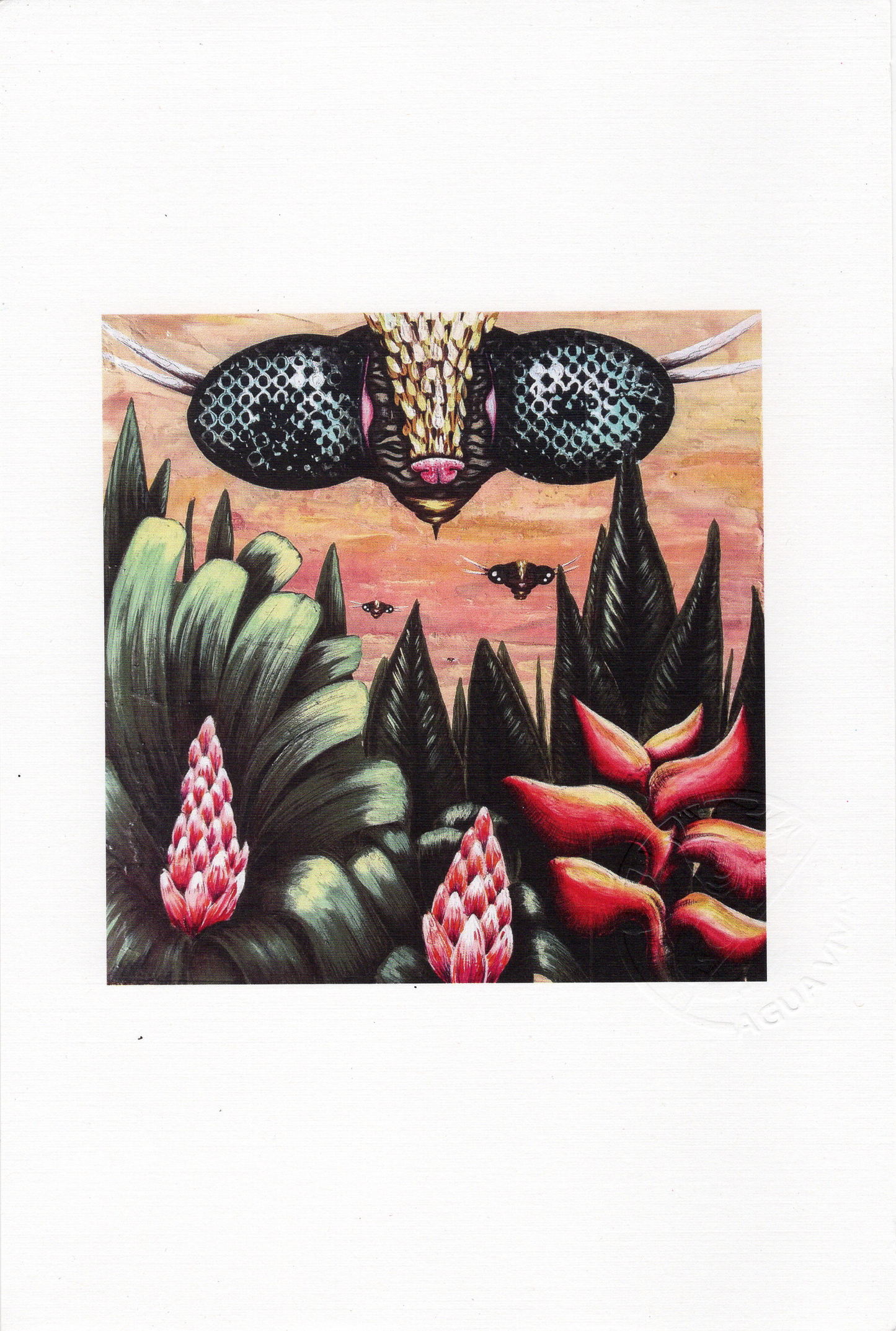 Agua Viva - ART PRINT 9"X6" / VARIEDAD
