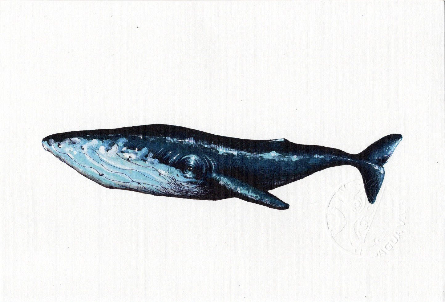 Agua Viva - ART PRINT 9"X6" / VARIEDAD