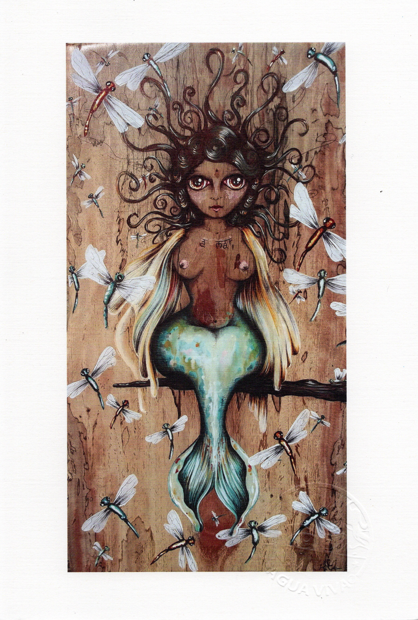 Agua Viva - ART PRINT 9"X6" / VARIEDAD