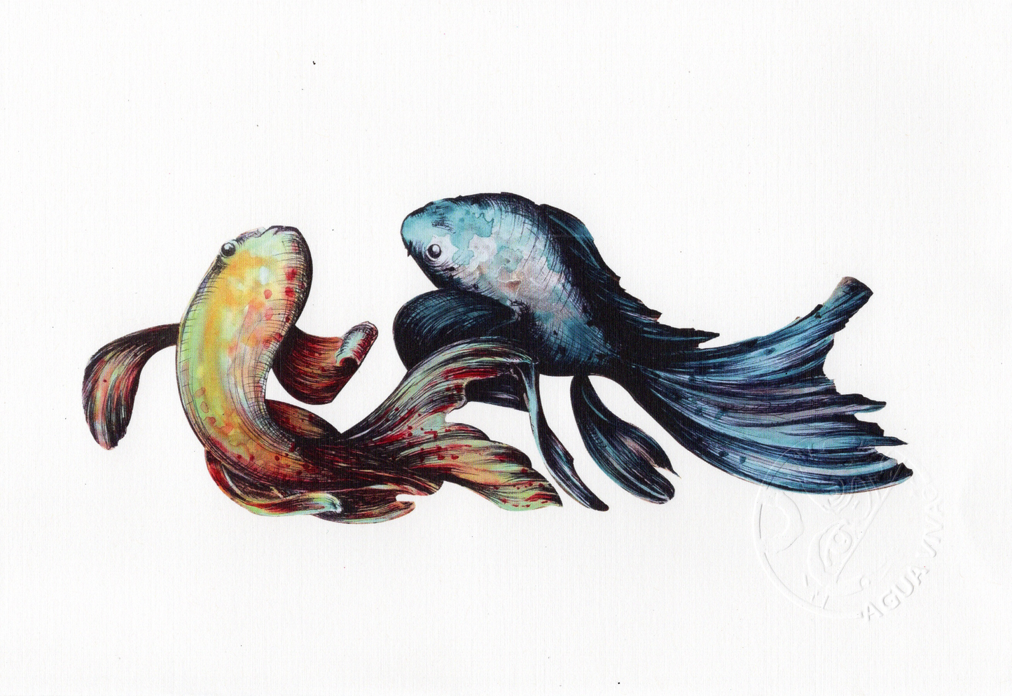 Agua Viva - ART PRINT 9"X6" / VARIEDAD