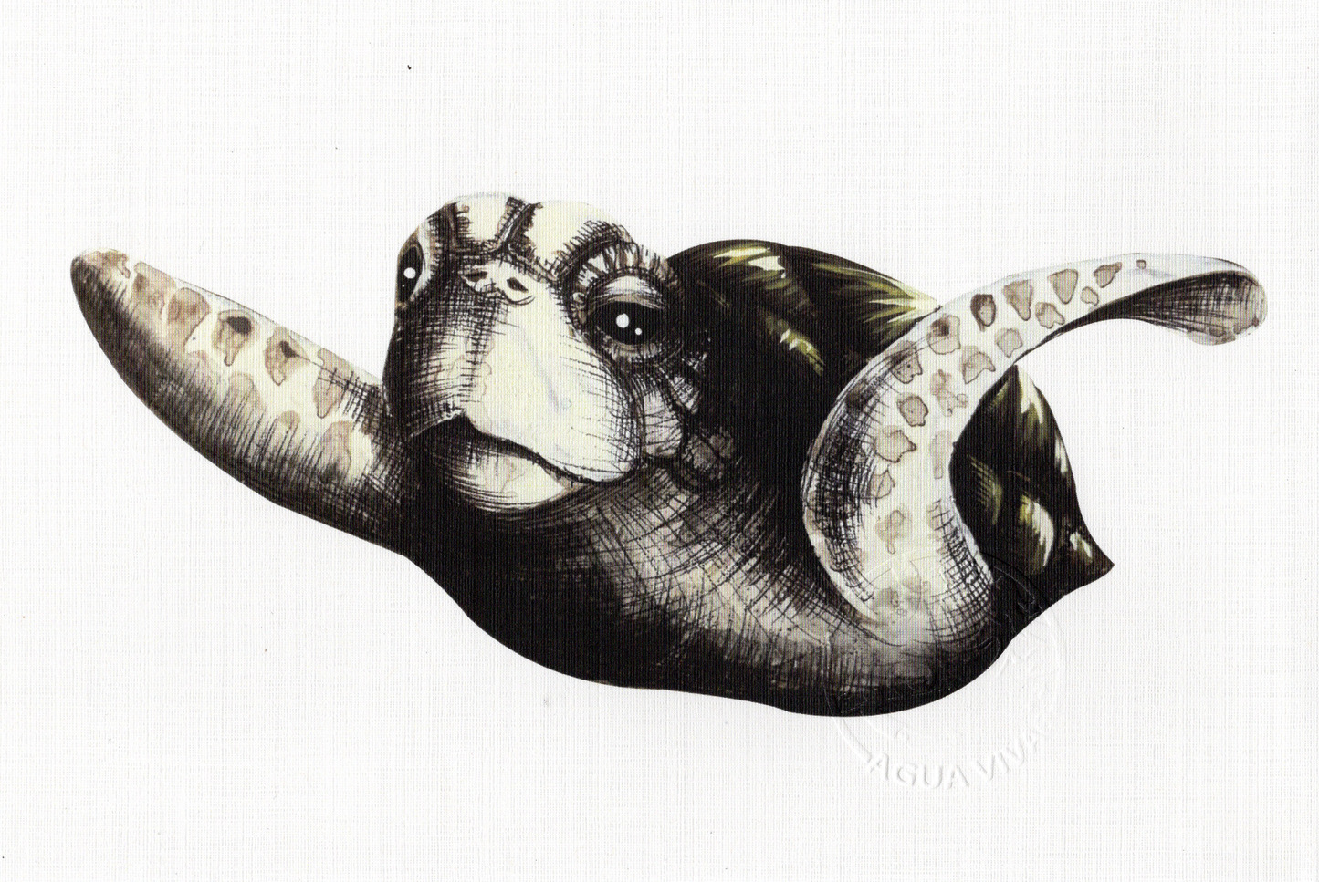 Agua Viva - ART PRINT 9"X6" / VARIEDAD