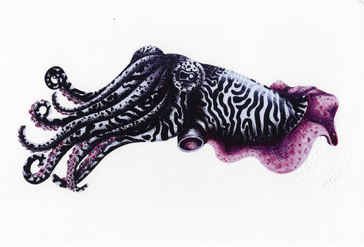 Agua Viva - ART PRINT 9"X6" / VARIEDAD