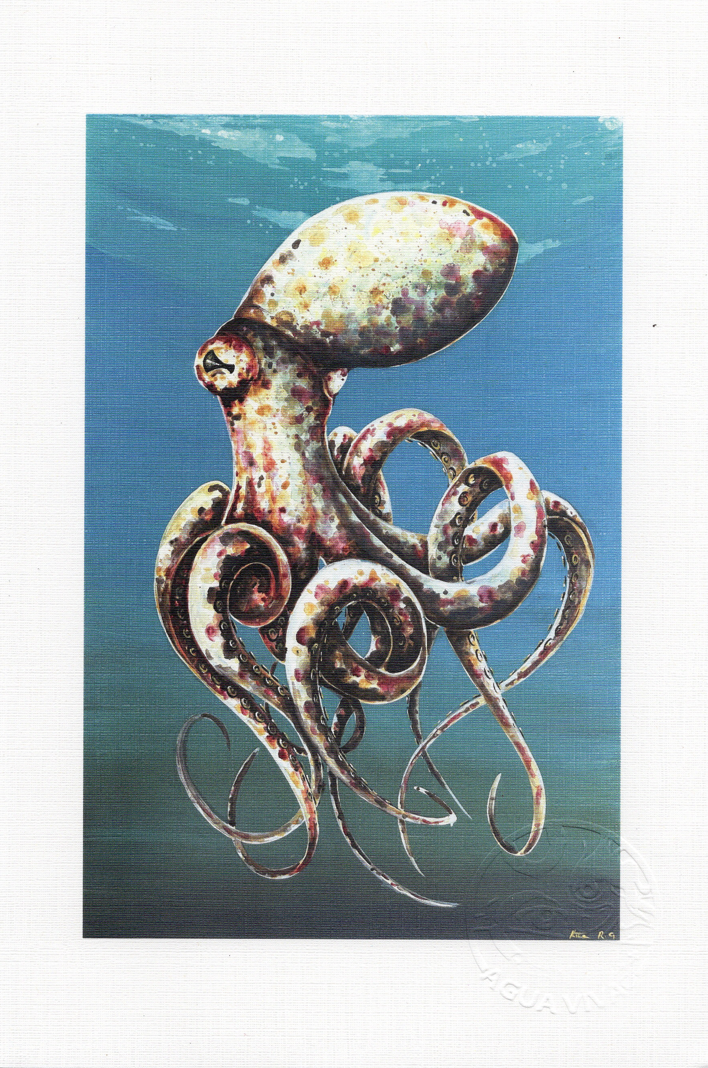 Agua Viva - ART PRINT 9"X6" / VARIEDAD