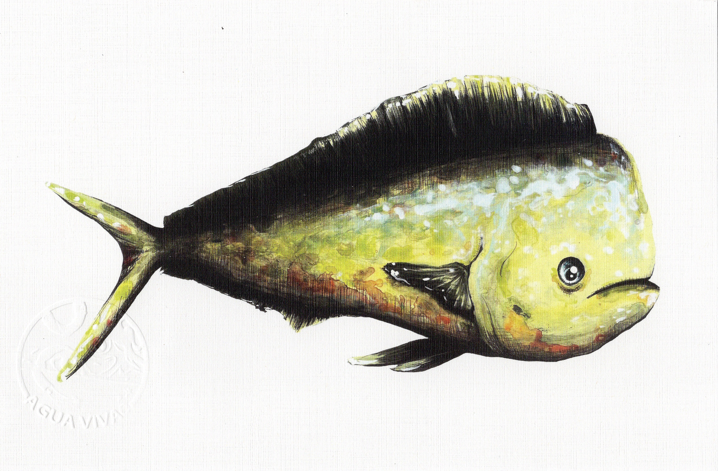 Agua Viva - ART PRINT 9"X6" / VARIEDAD
