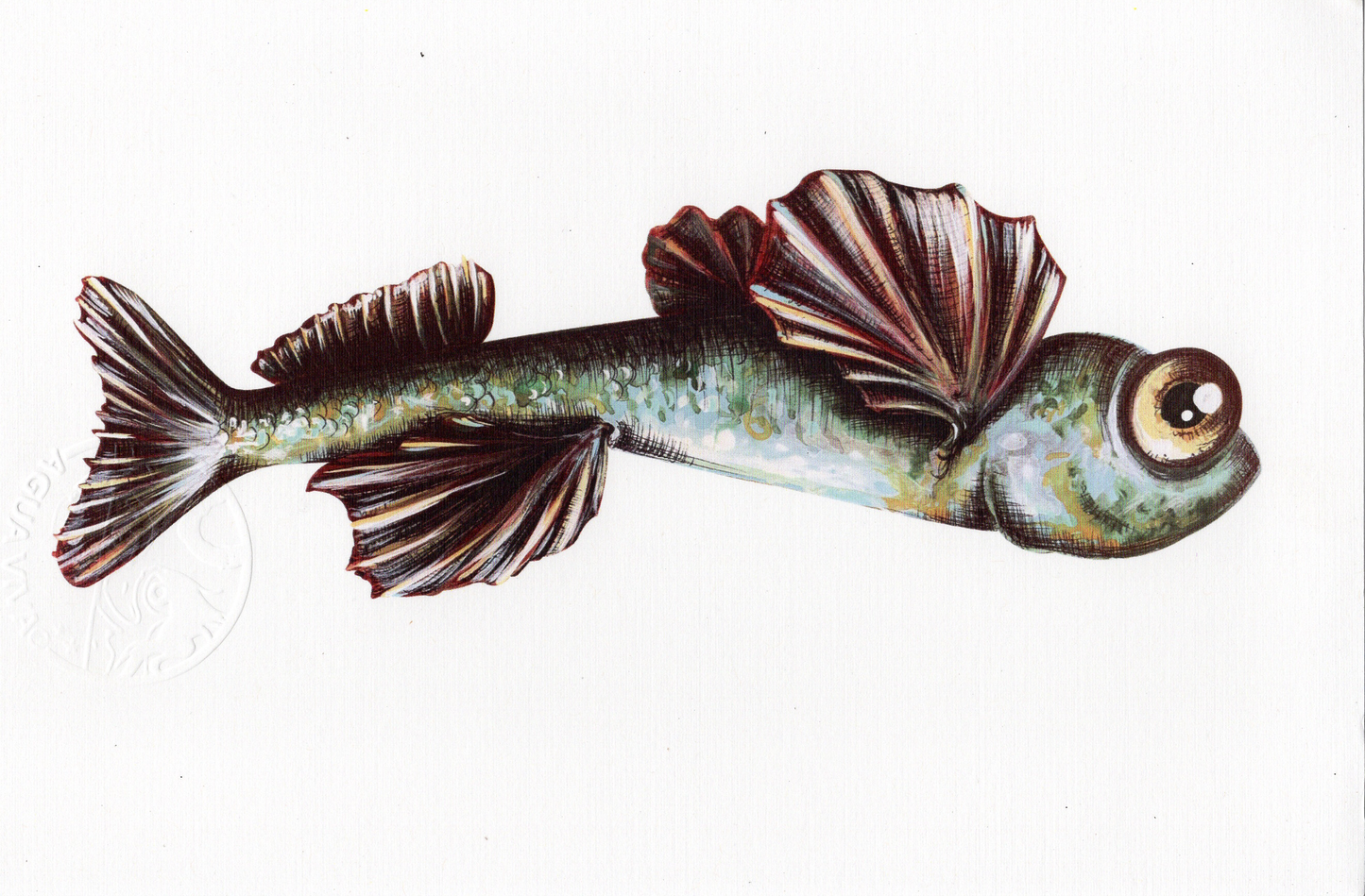 Agua Viva - ART PRINT 9"X6" / VARIEDAD