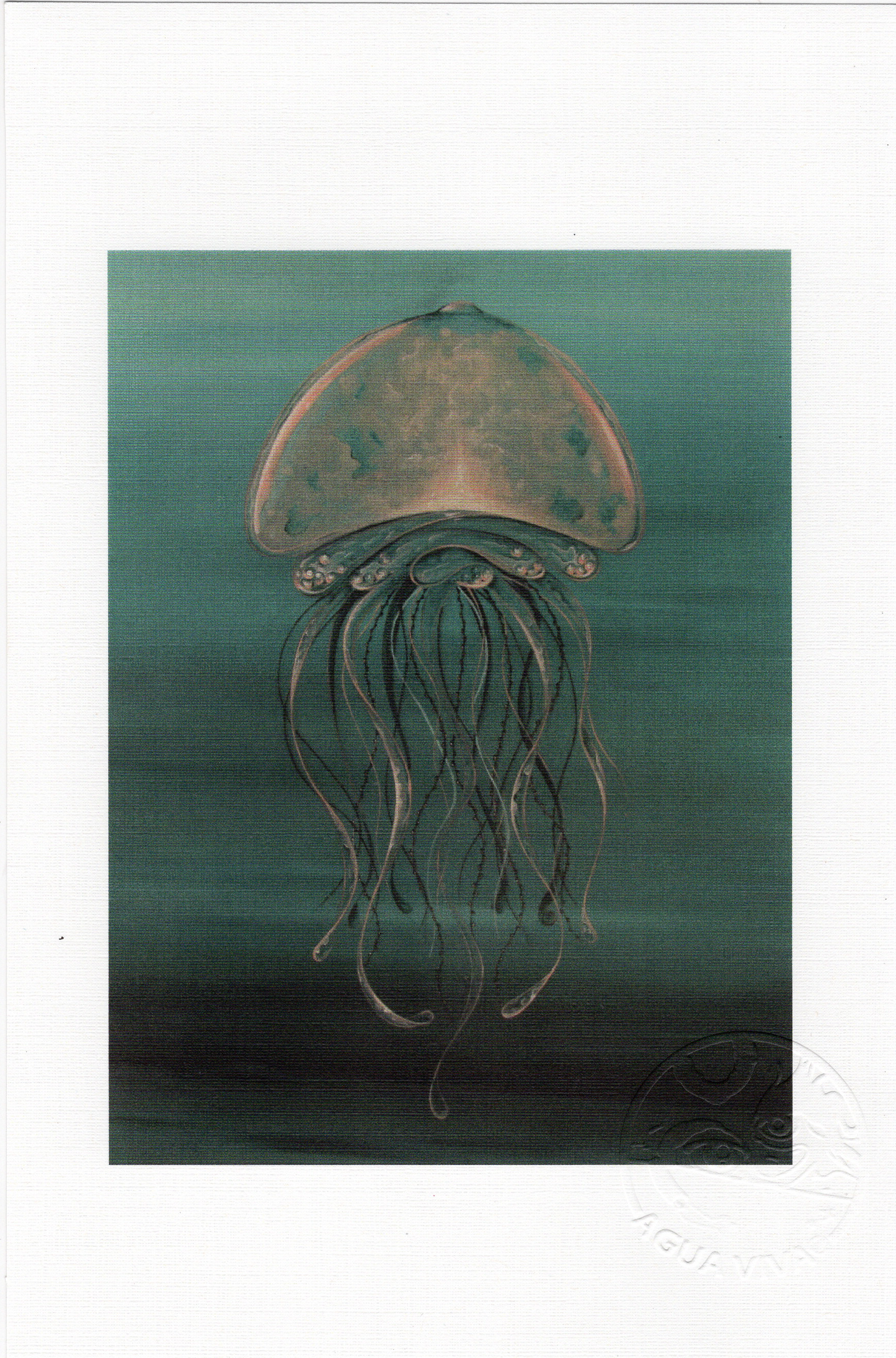 Agua Viva - ART PRINT 9"X6" / VARIEDAD