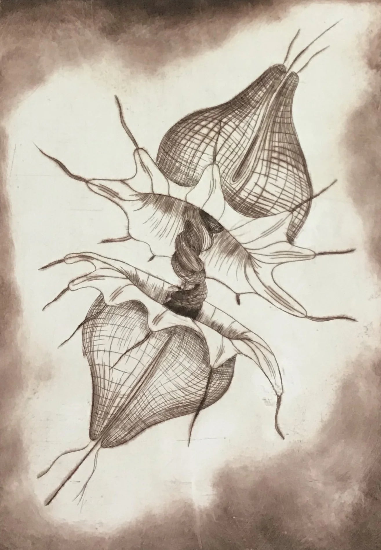 Rafael Hernández - OBRA ORIGINAL "CERATIUM" INTAGLIO