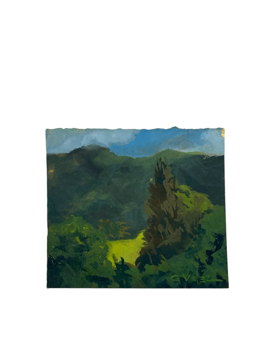 Gerardo Vélez - OBRA ORIGINAL "JAGÜEYES”