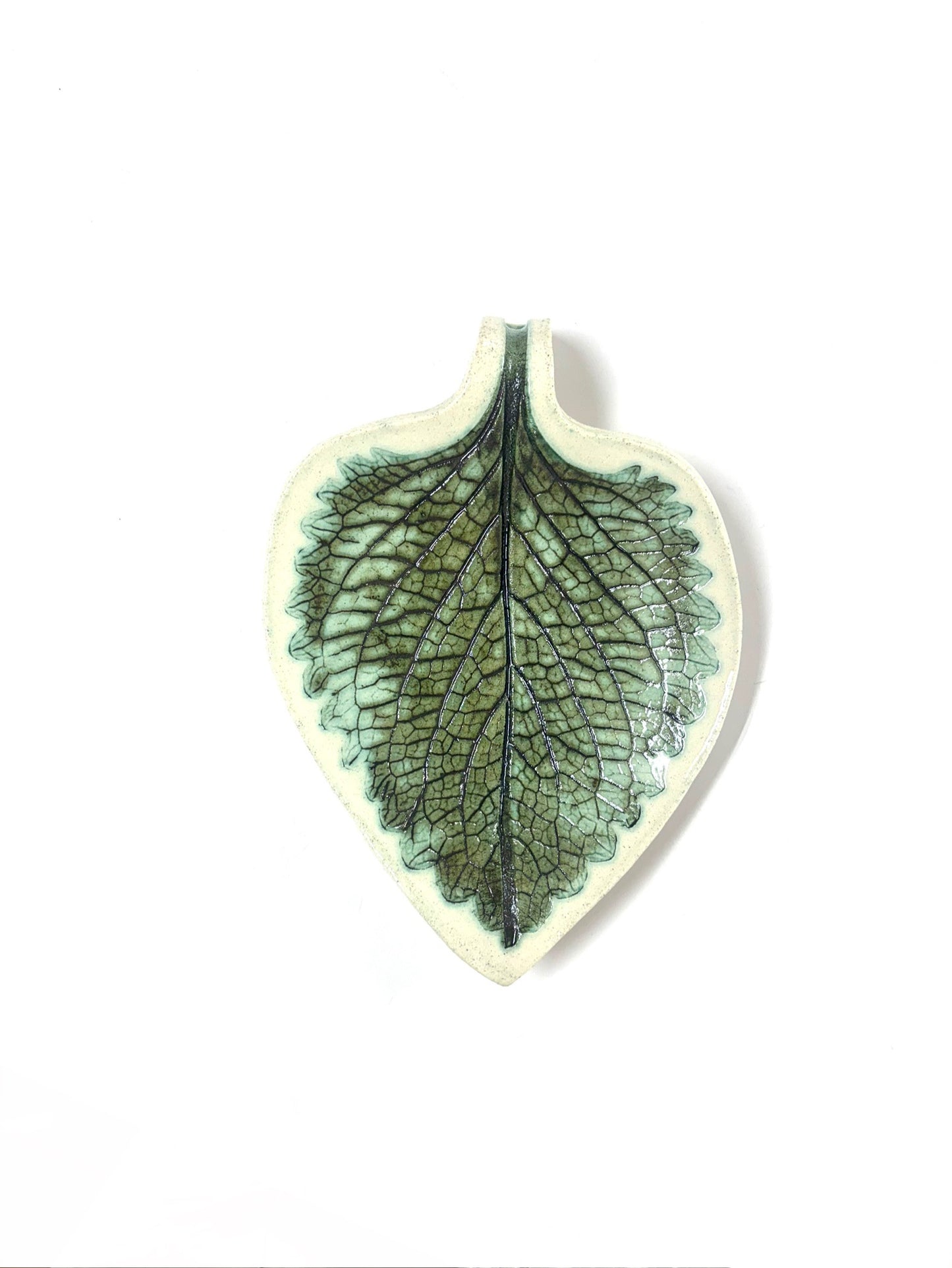 Yayaké - HOJA ORÉGANO (GRANDE)