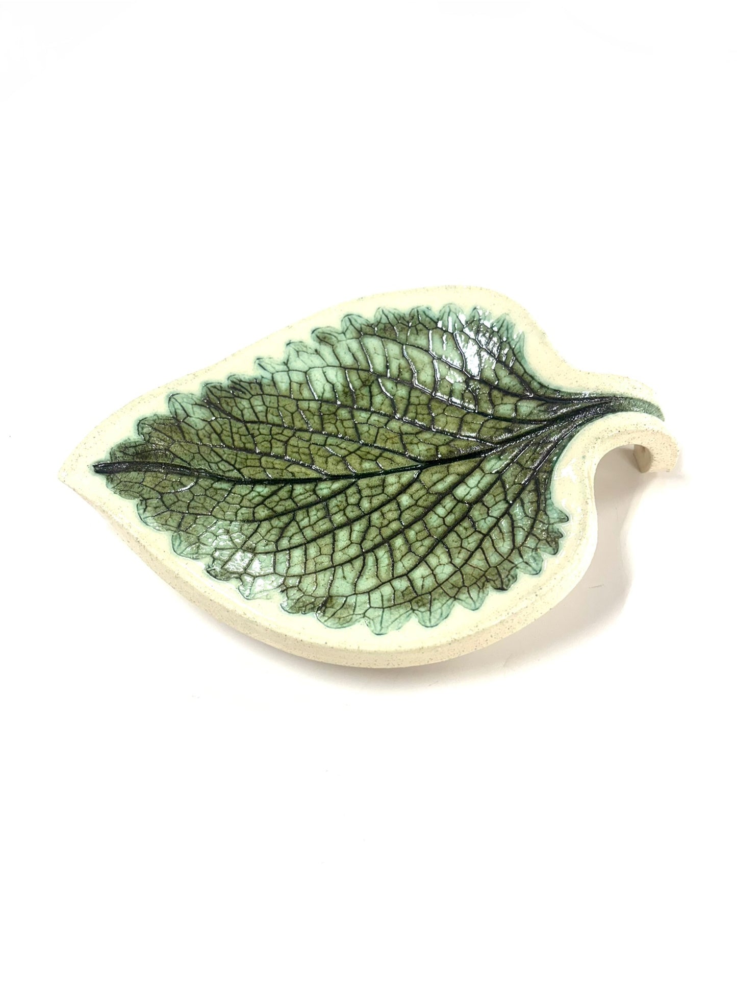 Yayaké - HOJA ORÉGANO (GRANDE)