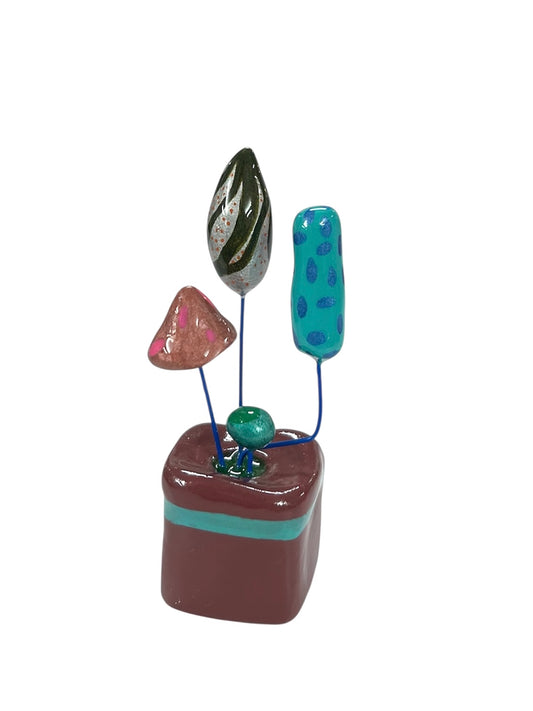 Mind Blowing Project - JARDIN "Mi mundo pequeñito / VINO