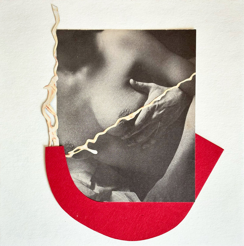 NEURONA COLLAGE STUDIO