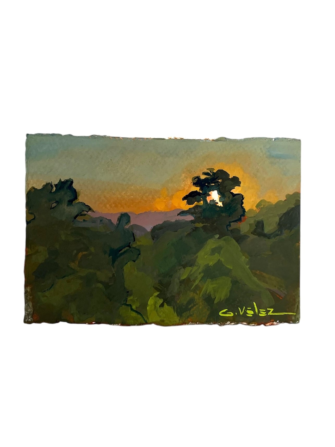 Gerardo Vélez - OBRA ORIGINAL "SUNRISE JAGUEYEZ”
