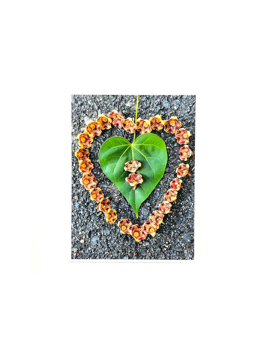 Gladys Serrano Flores / FOTOGRAFÍA "ANACAGÜITA Y EMAJAGUILLA"