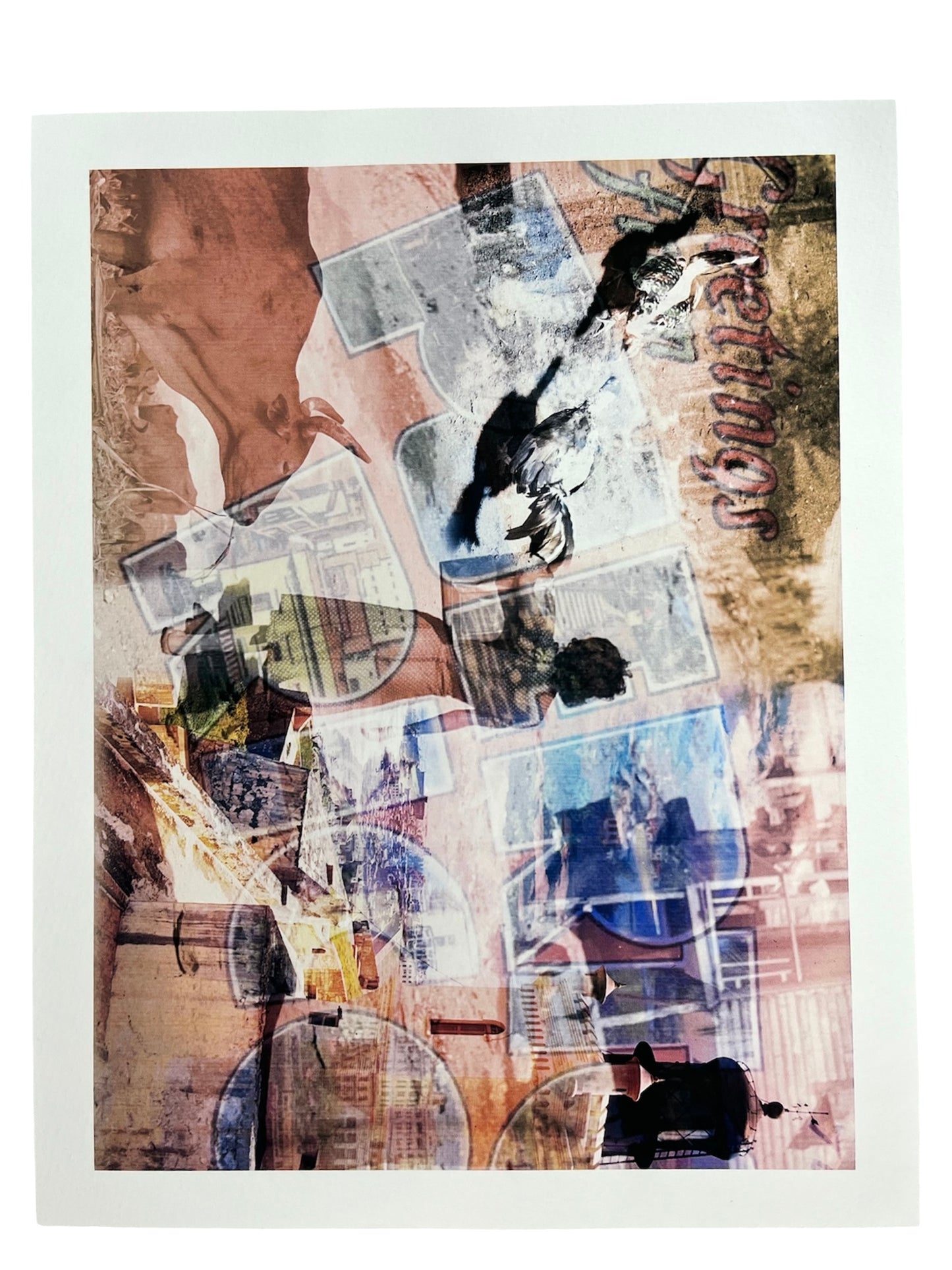 Neurona Collage Studio - COLLAGE DIGITAL "PR"