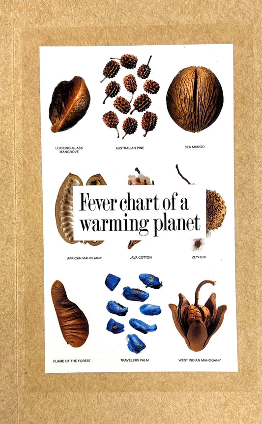 Amanda Hernández - LIBRETAS 5"X8" / VARIEDAD