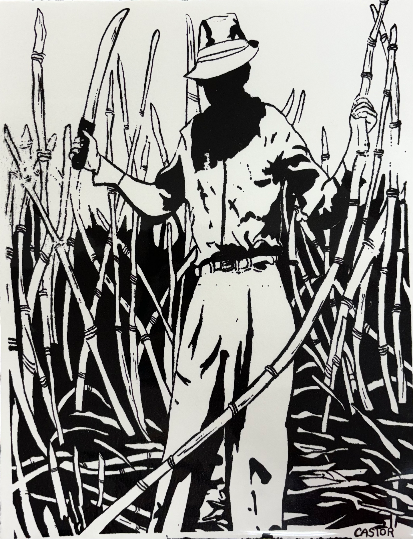 Castor - SERIGRAFÍA "CAÑA" B/N
