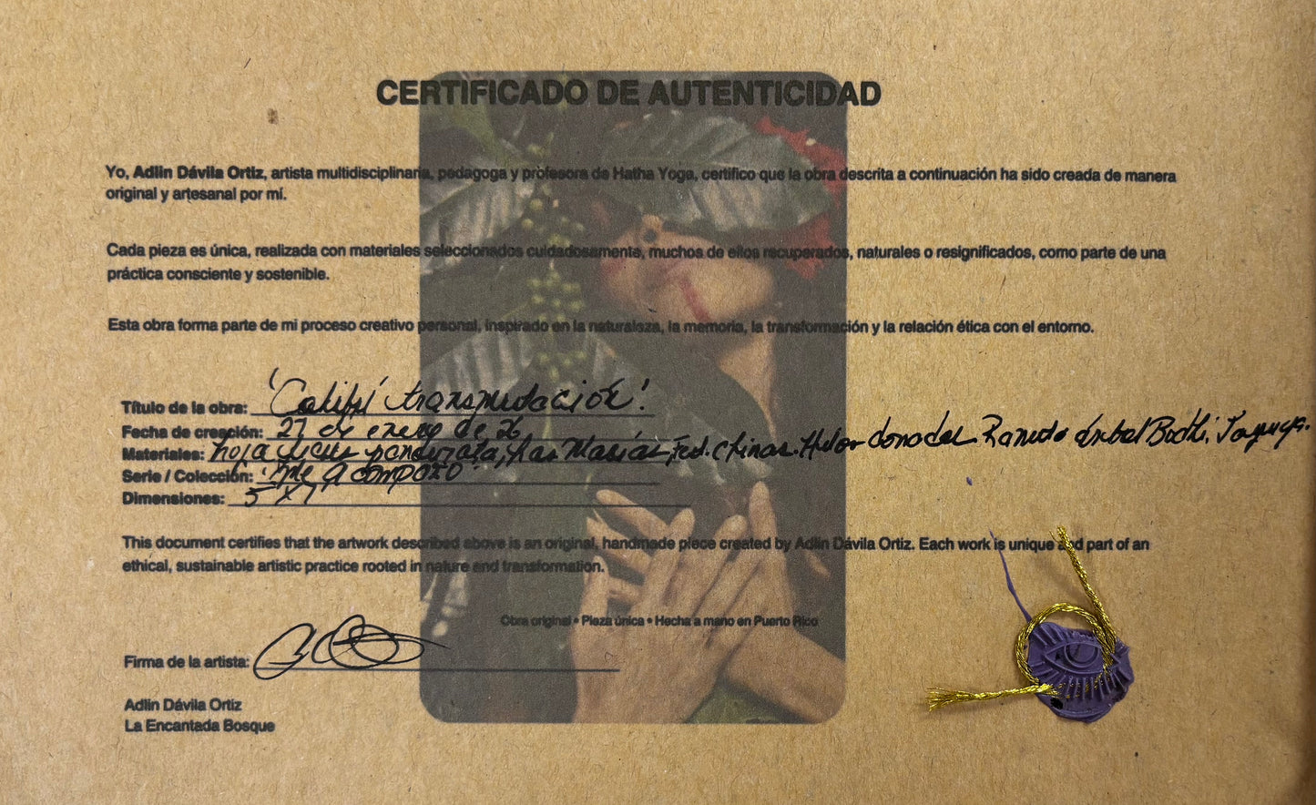Adlin Dávila Ortiz - OBRA ORIGINAL "COLIBRÍ TRANSMUTACIÓN"