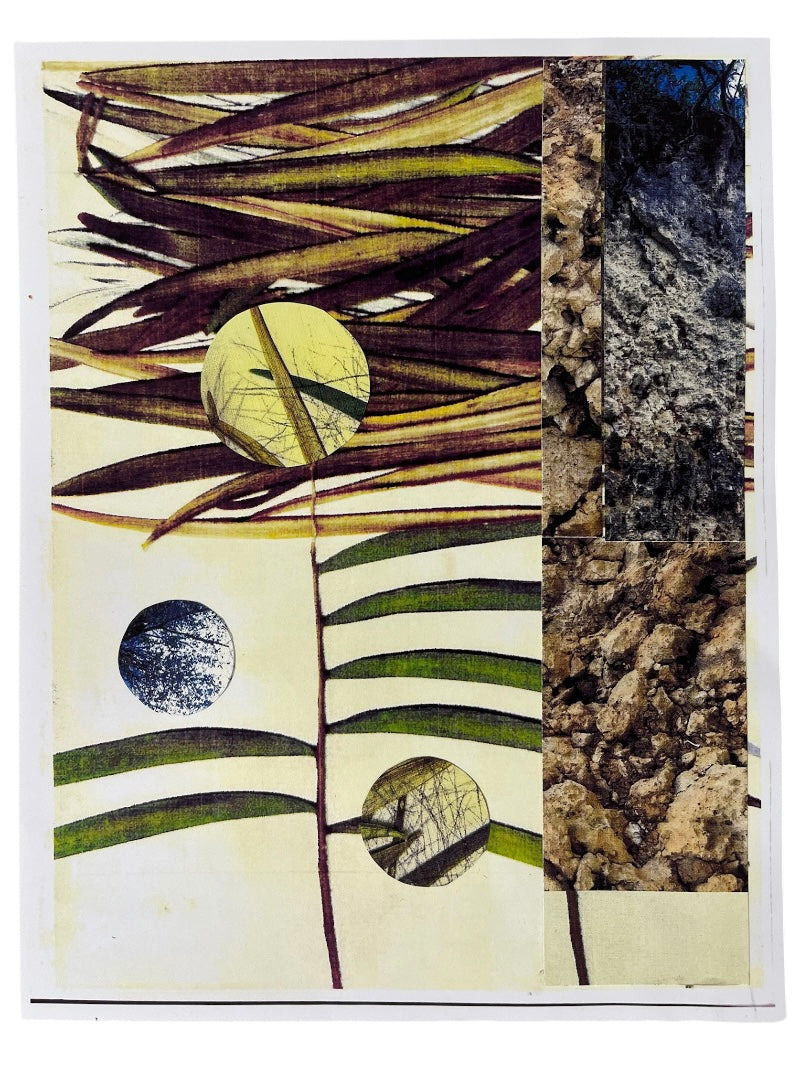 Elizabeth Robles - Obra Orginal / Collage LAMINA #5