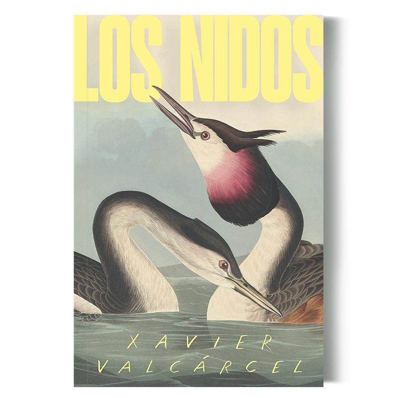 Riel Editorial - LOS NIDOS // XAVIER VALCÁRCEL