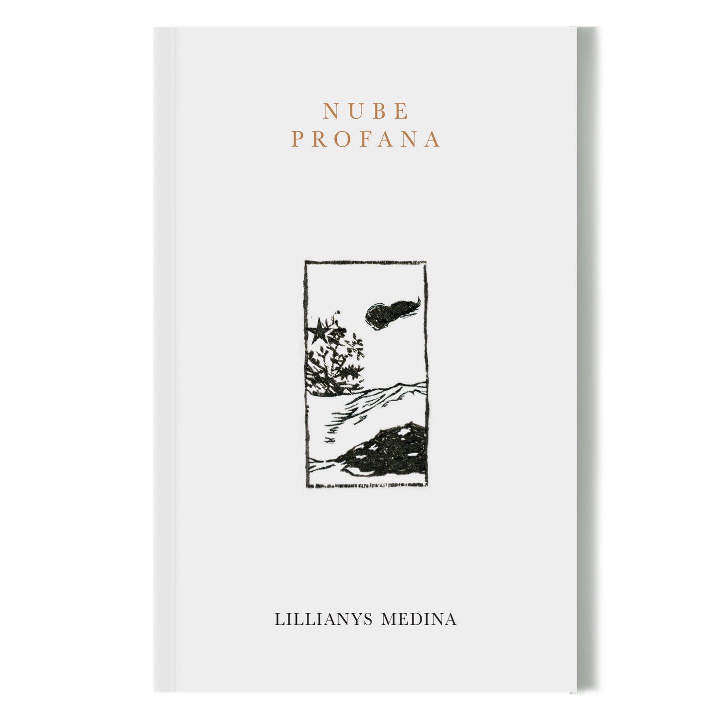 Riel Editorial - NUBE PROFANA // LILLIANYS MEDINA