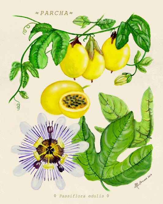 Fanuna - ART PRINT / PASSILFORA EDULIS