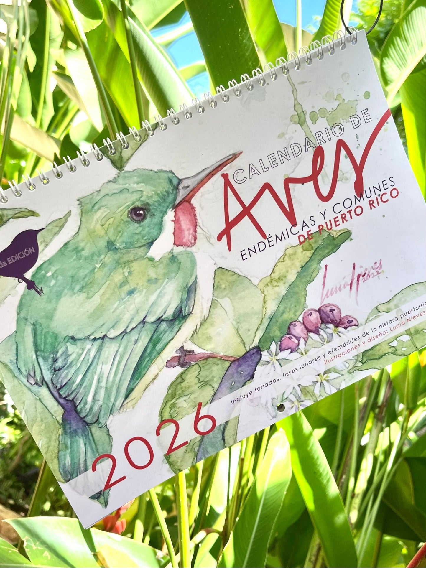 Lucia Nieves - CALENDARIO 2026 Aves Endemicas y Comunes de PR