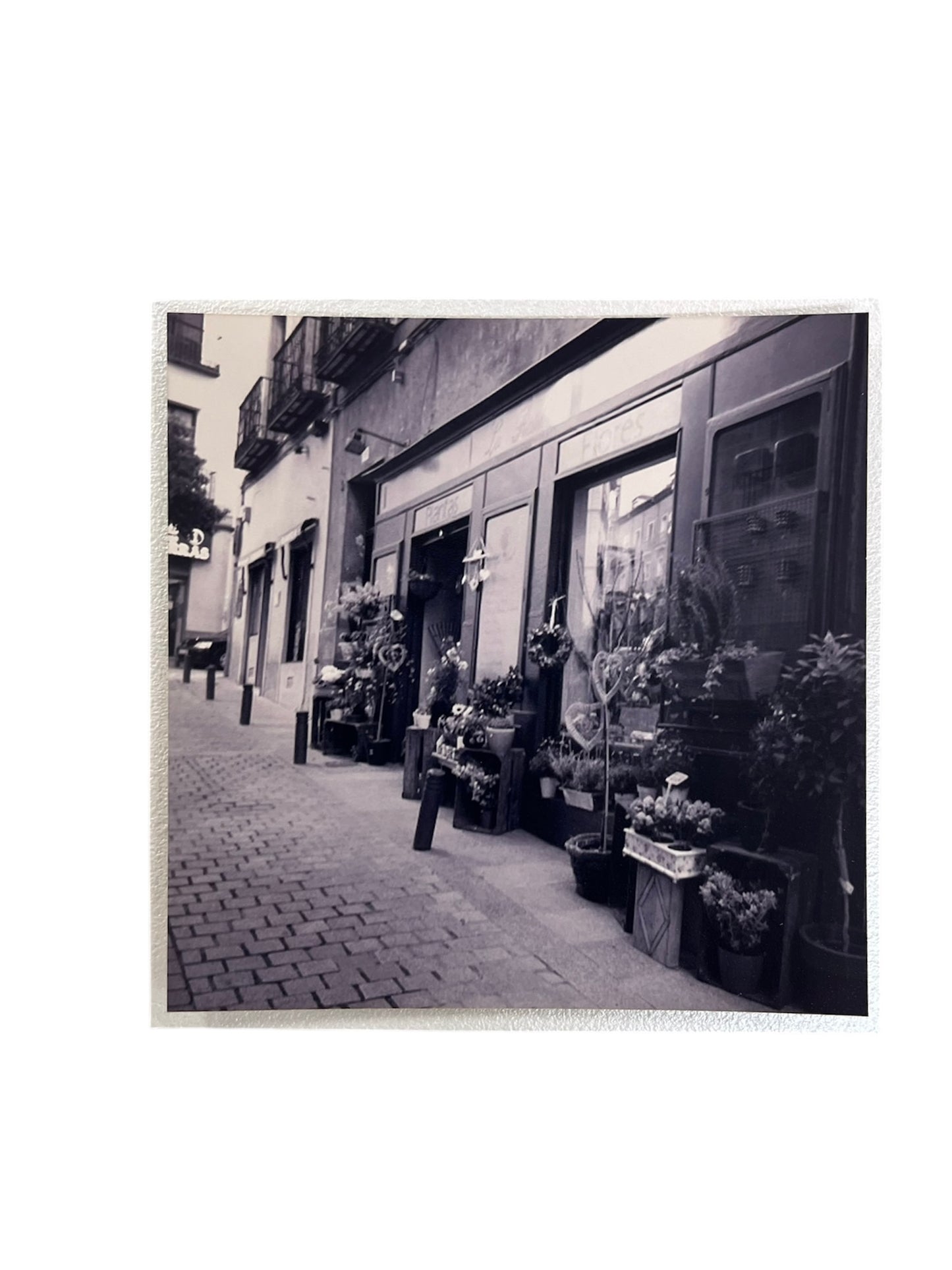 Un paseo volando - Fotografía "A FLOR DE CALLE"