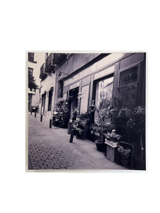 Un paseo volando - Fotografía "A FLOR DE CALLE"
