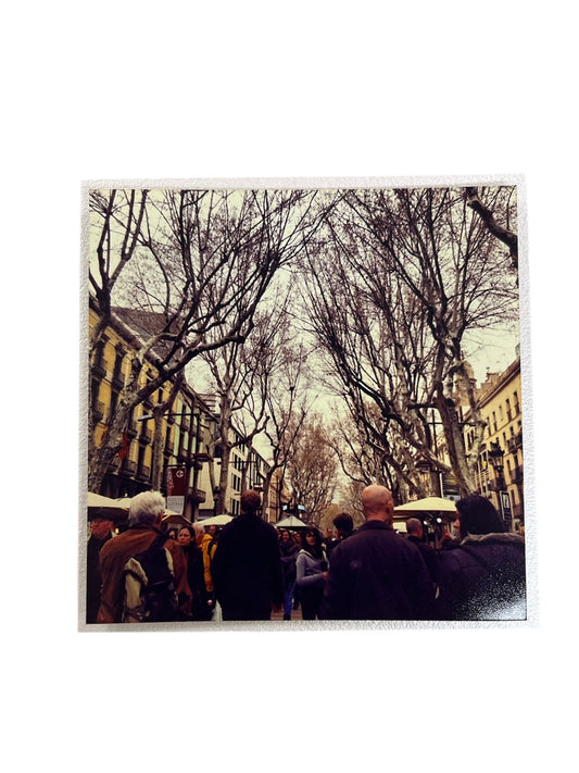 Un paseo volando - Fotografía "LA RAMBLA"