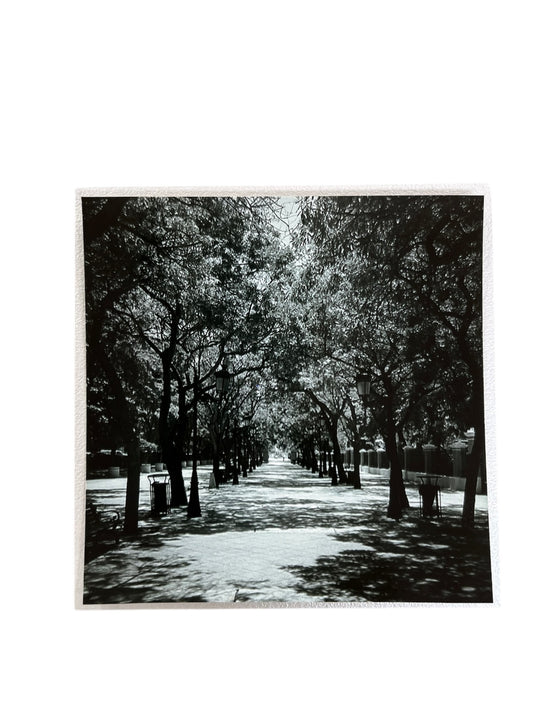 Un paseo volando - Fotografía "VSJ, PR"